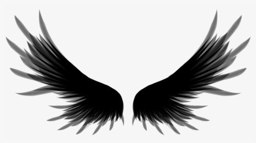 Roblox Free Black Wings, HD Png Download, Transparent PNG