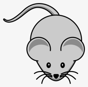 Collection Of Free Mouse Transparent Cartoon Download - Mouse Clipart, HD Png Download, Transparent PNG