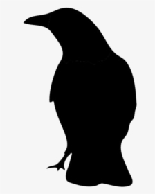 Cute Cartoon Raven Png Transparent Images - Adã©lie Penguin, Png Download, Transparent PNG