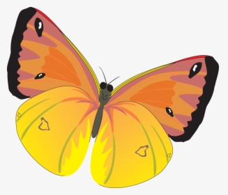 Download For Free Butterfly Transparent Png File - Бабочки Картинки Пнг, Png Download, Transparent PNG