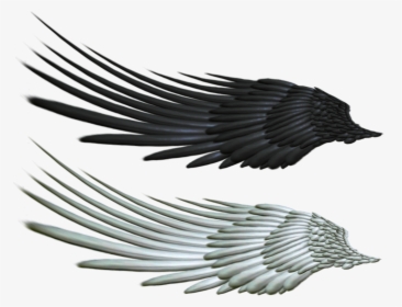 Evil Clipart Raven - Transparent Horse Wings, HD Png Download, Transparent PNG