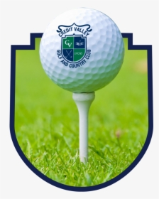 About Our Membership - Pitch And Putt, HD Png Download, Transparent PNG