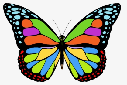 Icon Png Free Butterfly - Transparent Butterfly Icon Png, Png Download, Transparent PNG