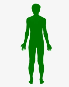 Green Man Shadow - Human Body Outline Green, HD Png Download, Transparent PNG