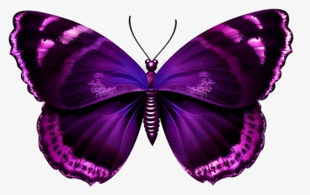 Purple Butterfly Png - Purple And Pink Butterfly, Transparent Png, Transparent PNG