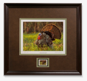 Ryan Kirby Turkey Nwtf 2016 Framed Stamp Print A Place, HD Png Download, Transparent PNG