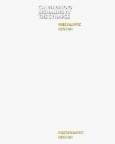 Paper Product, HD Png Download, Transparent PNG