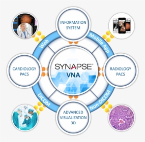 Synapse Vna, HD Png Download, Transparent PNG
