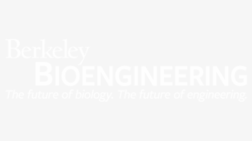 Berkeley Bioengineering Text Logo - University Of California Berkeley, HD Png Download, Transparent PNG