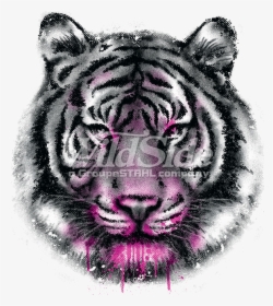 Tiger Face Png -tiger Face - Diseño De Cara De Tigre, Transparent Png, Transparent PNG