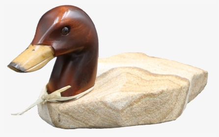 Stone Age Creations Duck, HD Png Download, Transparent PNG