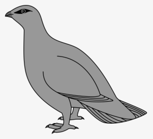 Wikimedia Commons Heraldry Birds , Png Download - Pigeons And Doves, Transparent Png, Transparent PNG