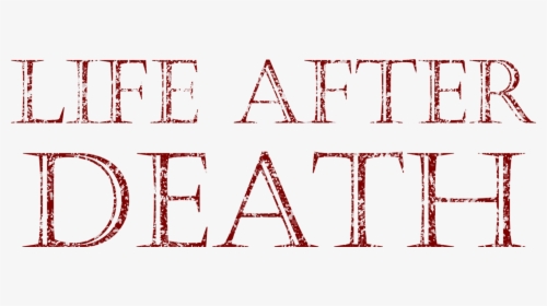 Life After Death Logo, Hd Png Download , Png Download, Transparent Png, Transparent PNG