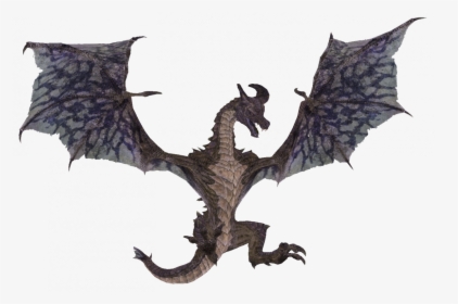 legendary dragon skyrim drawing