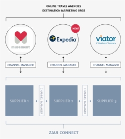 Expedia Joins Viator, Musement And Others As Zaui Software’s - Getyourguide Market Share, HD Png Download, Transparent PNG