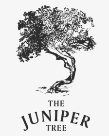 Juniper Tree Logo , Png Download - Black And White Juniper Tree, Transparent Png, Transparent PNG