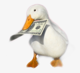 #aflac - You Ve Heard Of Elf On The Shelf Now Get Ready For, HD Png Download, Transparent PNG
