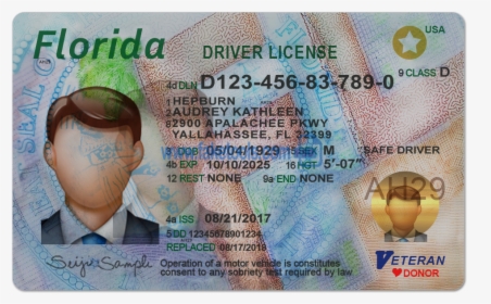 Florida Driver License Psd Template - Florida Drivers License Psd, HD Png Download, Transparent PNG