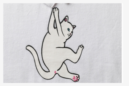Cat Yawns, HD Png Download, Transparent PNG