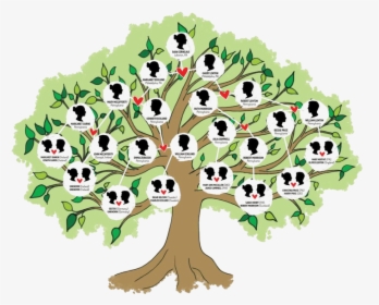 Family Tree - Different Types Of Family Tree, HD Png Download, Transparent PNG