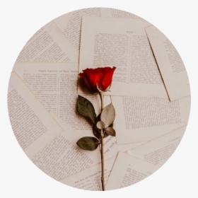 #books #tumblr #aesthetic #beige #cream #cute #circle - Rose With Book Pages, HD Png Download, Transparent PNG