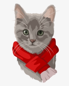 Card Gray Cat2 - Kitten, HD Png Download, Transparent PNG
