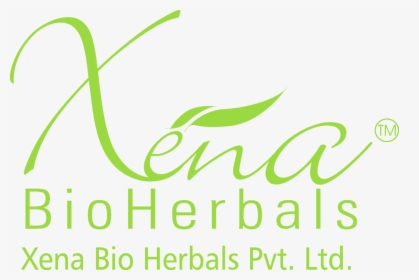 Logo - Xena Bio Herbals Logo, HD Png Download, Transparent PNG