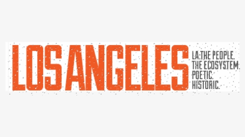 Orange, HD Png Download, Transparent PNG