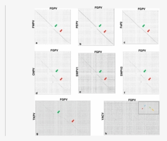 Diagram, HD Png Download, Transparent PNG