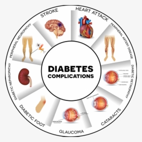 48739704 S - Complications Of Diabetes Poster, HD Png Download, Transparent PNG
