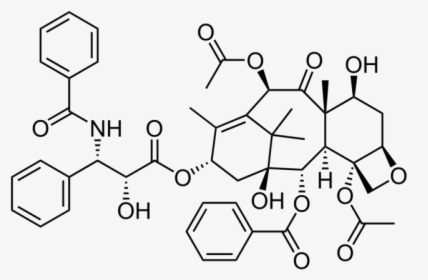 Molecular Structure Of Coca Cola, HD Png Download, Transparent PNG