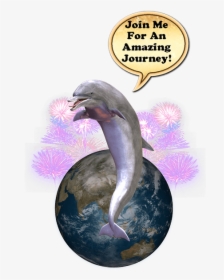 Where S The Dolphin Sticker Pack For Imessage Messages - Common Bottlenose Dolphin, HD Png Download, Transparent PNG
