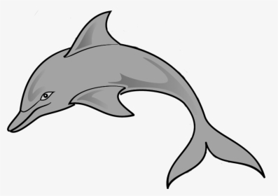Clipart Of Common, Gray And Dolphin Of - Common Bottlenose Dolphin, HD Png Download, Transparent PNG
