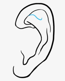 How To Draw Ear, HD Png Download, Transparent PNG