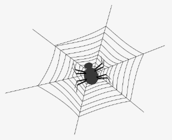 Cobweb, Spider, Spiderweb, Spider S Web, Web, Net - Spider Web With Spider Outlines Png, Transparent Png, Transparent PNG