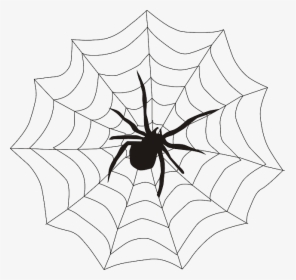 Spider In A Web Clipart, HD Png Download, Transparent PNG