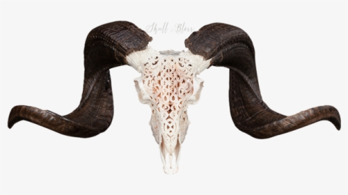 Carved Ram Skull - Ram Skull Art Transparant, HD Png Download, Transparent PNG