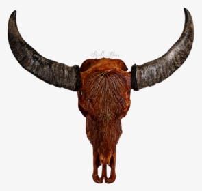 Cattle Horn Animal Skulls Bison - Horn, HD Png Download, Transparent PNG