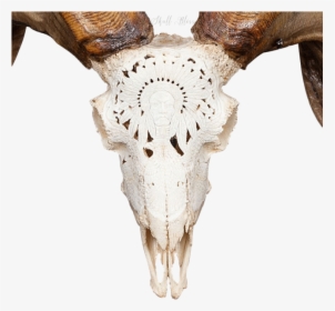 Carved Ram Skull - Ram Skull Png, Transparent Png, Transparent PNG