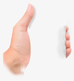 Toe, HD Png Download, Transparent PNG