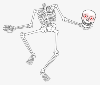 Skeletonani 1024 - Cartoon, HD Png Download, Transparent PNG