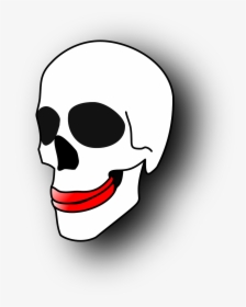 Skull Gums Skeleton Free Photo - Skull Clipart, HD Png Download, Transparent PNG