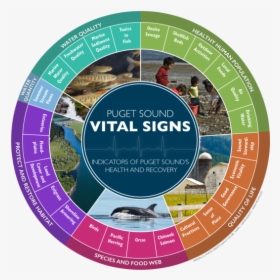 As Of 2016, The Puget Sound Vital Signs Wheel Shows - Puget Sound Vital Signs, HD Png Download, Transparent PNG