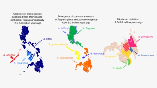 12 Sunbird Species And Their Distribution Across The - Colonisation Of The Philippines, HD Png Download, Transparent PNG