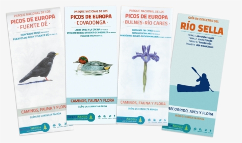 Guías Picos De Europa - Surfing, HD Png Download, Transparent PNG