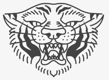 Tiger, HD Png Download, Transparent PNG