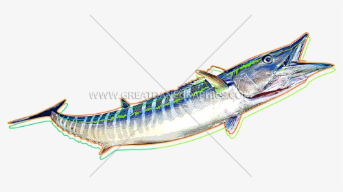 Funky Production Ready Artwork - Ray-finned Fish, HD Png Download, Transparent PNG