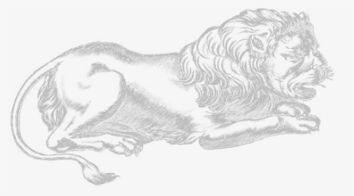 Sketch, HD Png Download, Transparent PNG