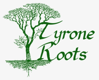 Tyrone Roots - Illustration, HD Png Download, Transparent PNG