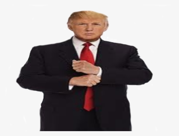 Donald Trump Full Body Png - Transparent Png Full Body Trump, Png Download, Transparent PNG
